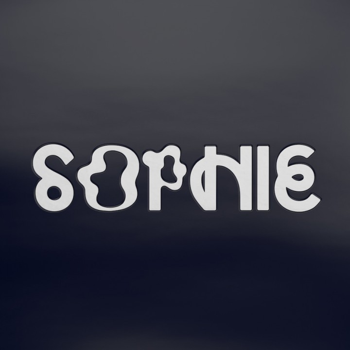 SOPHIE – PRODUCT